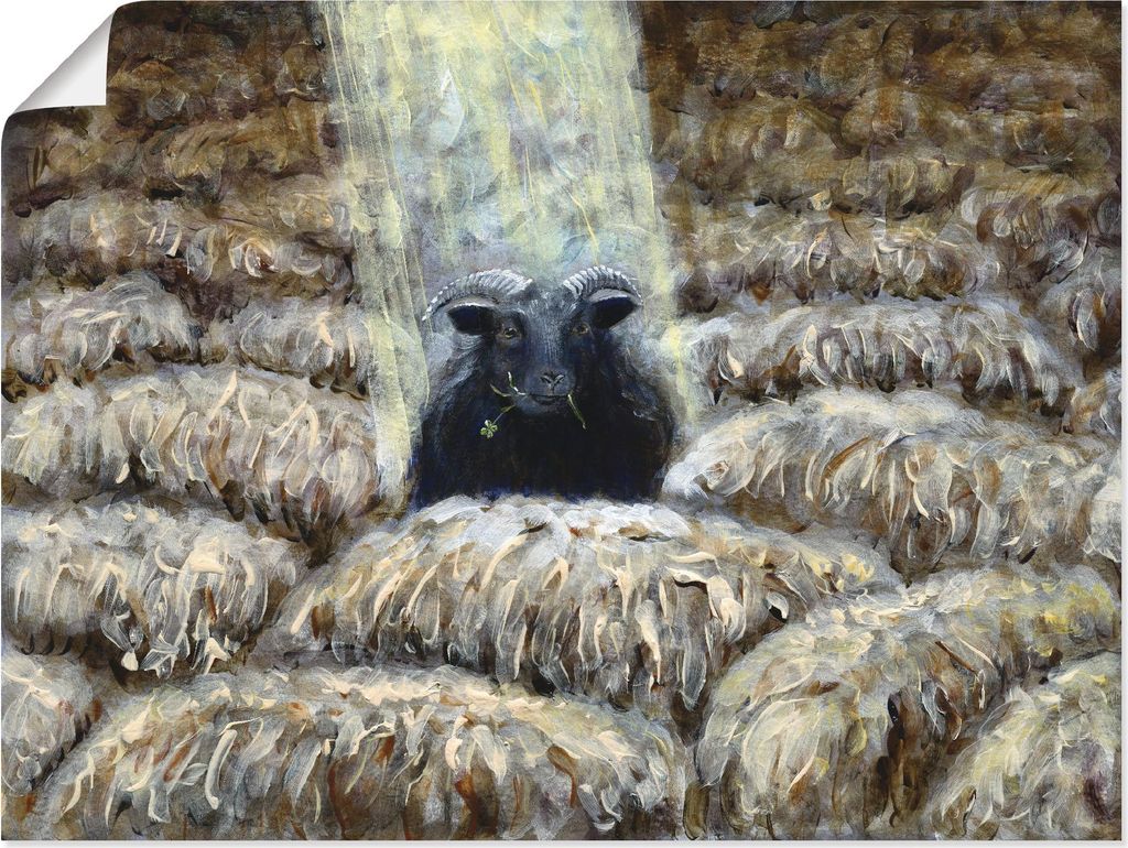ARTland Poster Schwarzes Schaf Größe: 80x60 cm