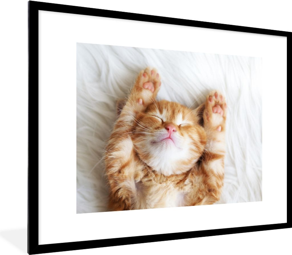 MuchoWow Gerahmtes Poster Katze - Rot - Haustiere - Kätzchen 80x60 cm - Poster mit Schwarzem Bilderrahmen Wandposter Rahmen Foto Bilder - Schlaf...
