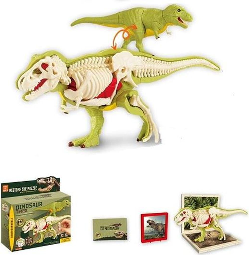Dinozaur ze szkieletem do składania
