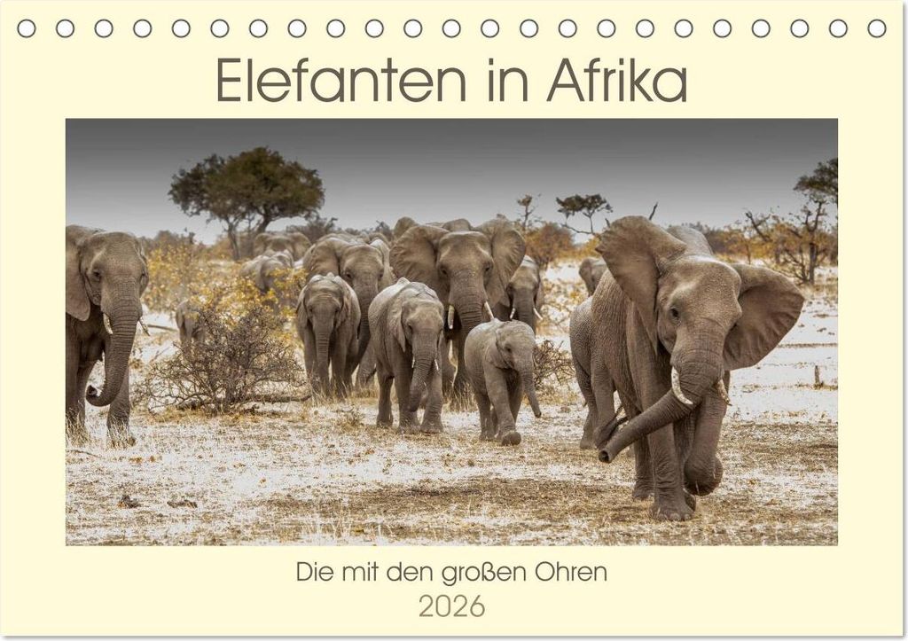 Elefanten in Afrika - Die mit den großen Ohren (Tischkalender 2026 DIN A5 quer), CALVENDO Monatskalender