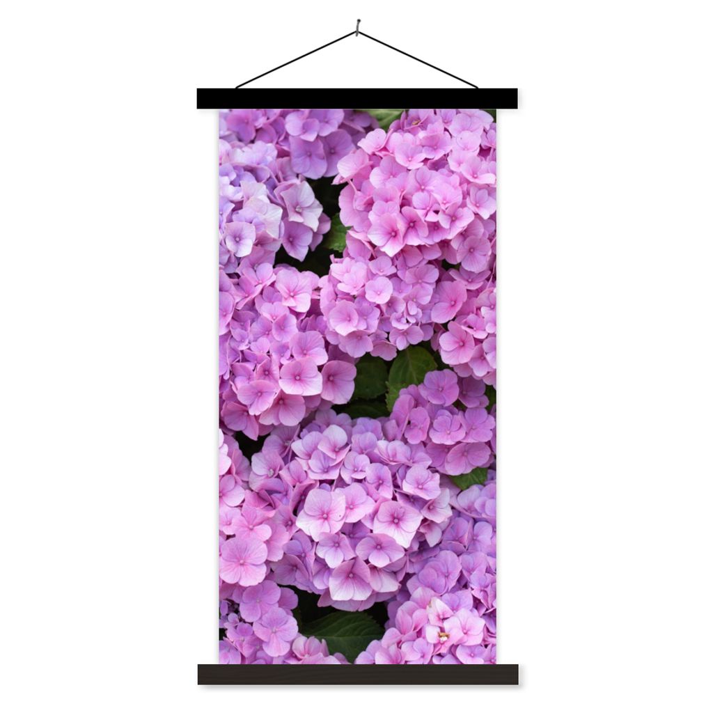 MuchoWow Textilposter Blumen - Hortensie - Strauch - Rosa - Blütenblätter 60x120 cm mit schwarzem Rahmen - Magnete