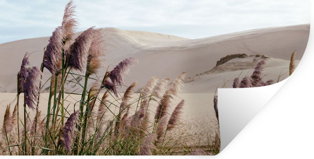 MuchoWow Wandtattoo Wandsticker Wandaufkleber Pampasgras - Sand - Pflanzen - Düne 160x80 cm Selbstklebend und Repositionierbar - Sticker - Dekor...