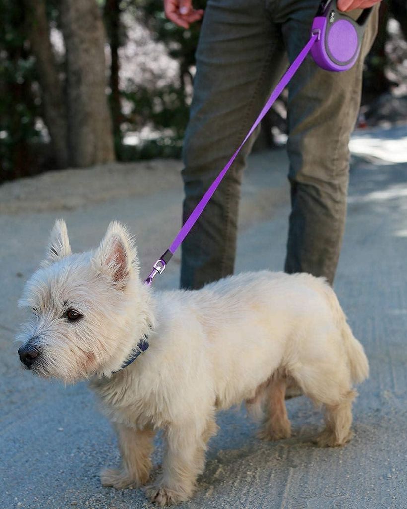 Einziehbare Hundeleine für kleine und mittelgroße Hunde - 5m Nylon Hundeleine, rutschfester Griff, geeignet bis 20 kg