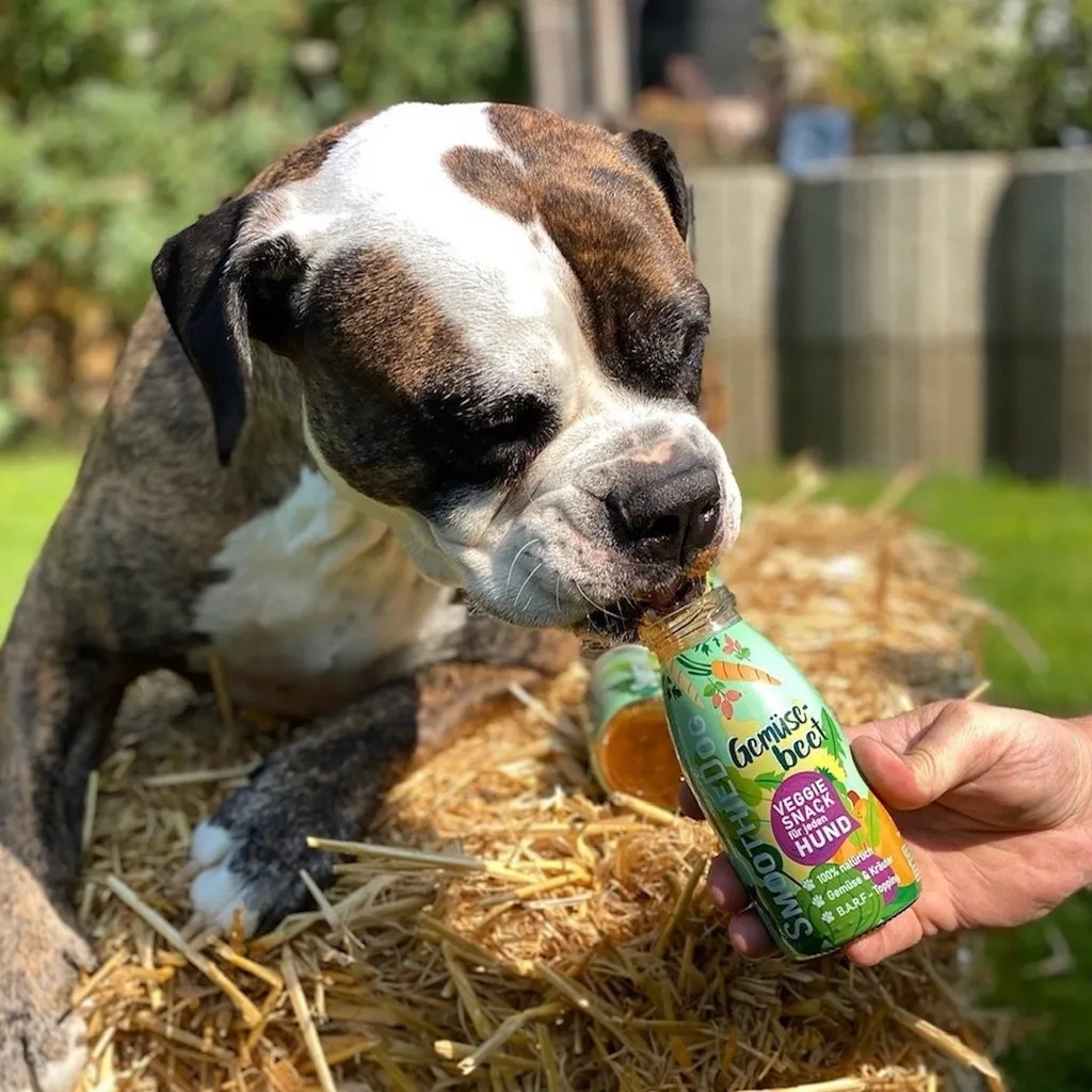 Smoothie Végétarien pour Chiens Difficiles - Aide la Digestion Sensible - 4