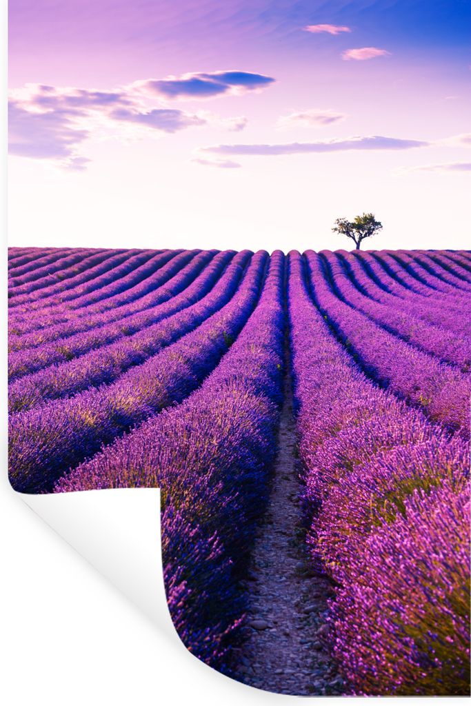 MuchoWow Wandtattoo Wandsticker Wandaufkleber Lavendel - Bäume - Lila - Blumen 80x120 cm Selbstklebend und Repositionierbar - Repositionierbar -...
