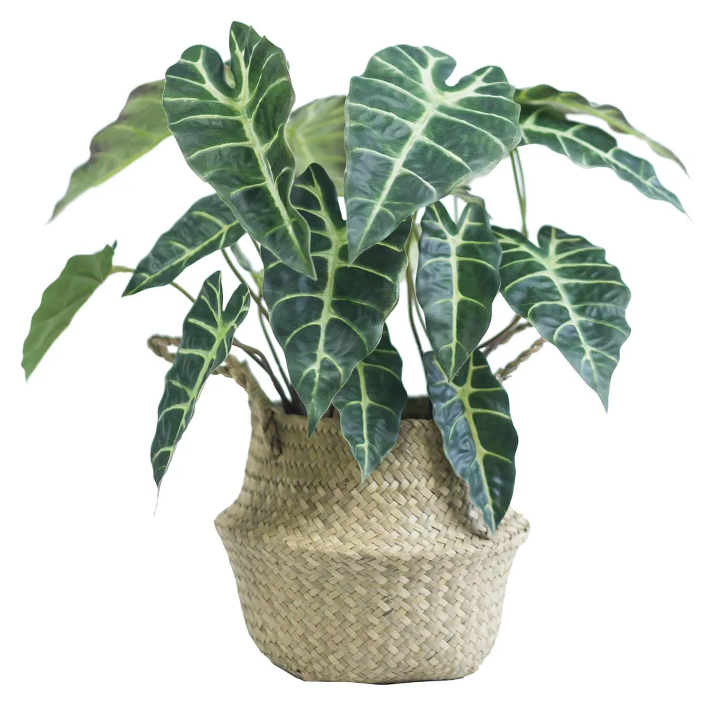 Alocasia Artificiel 46 cm - La Solution Plante Verte sans Entretien