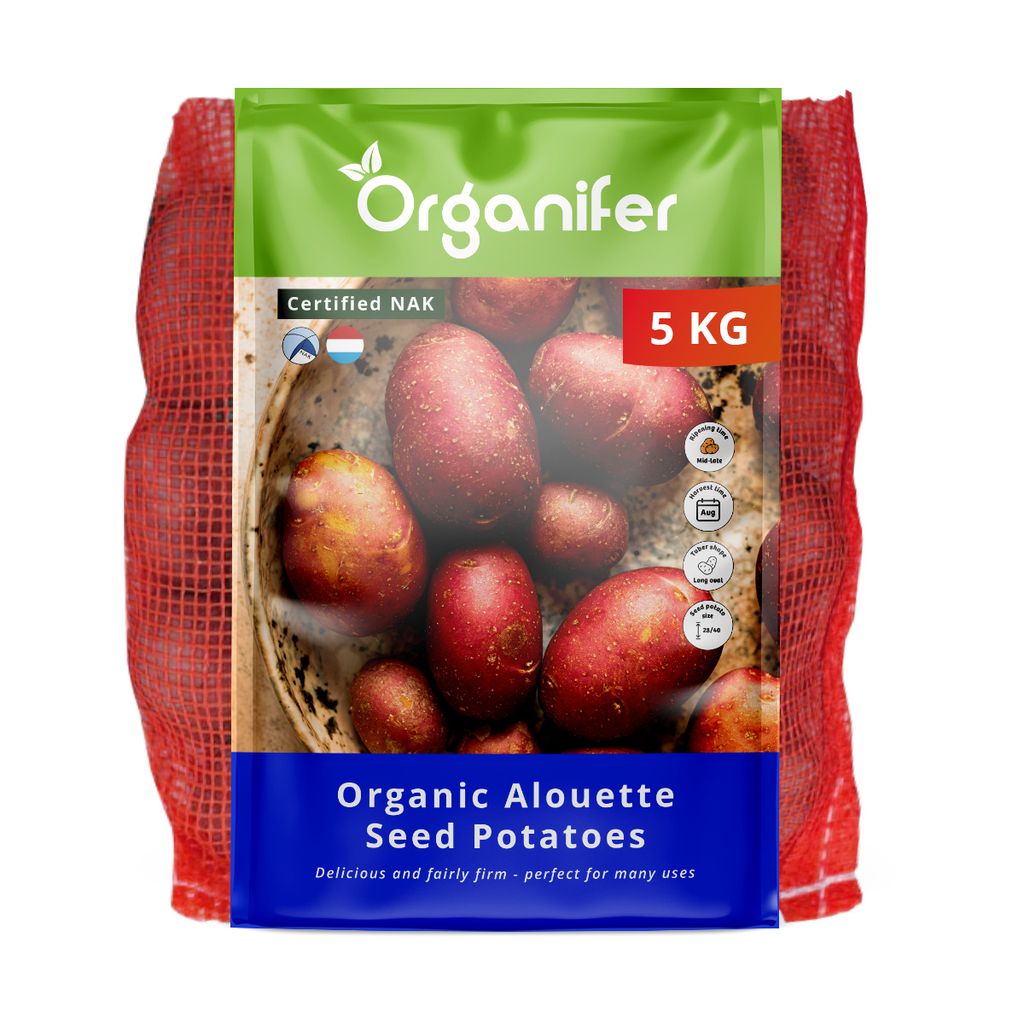 -Saatkartoffeln Alouette A 28/35 (5 kg) - Organifer