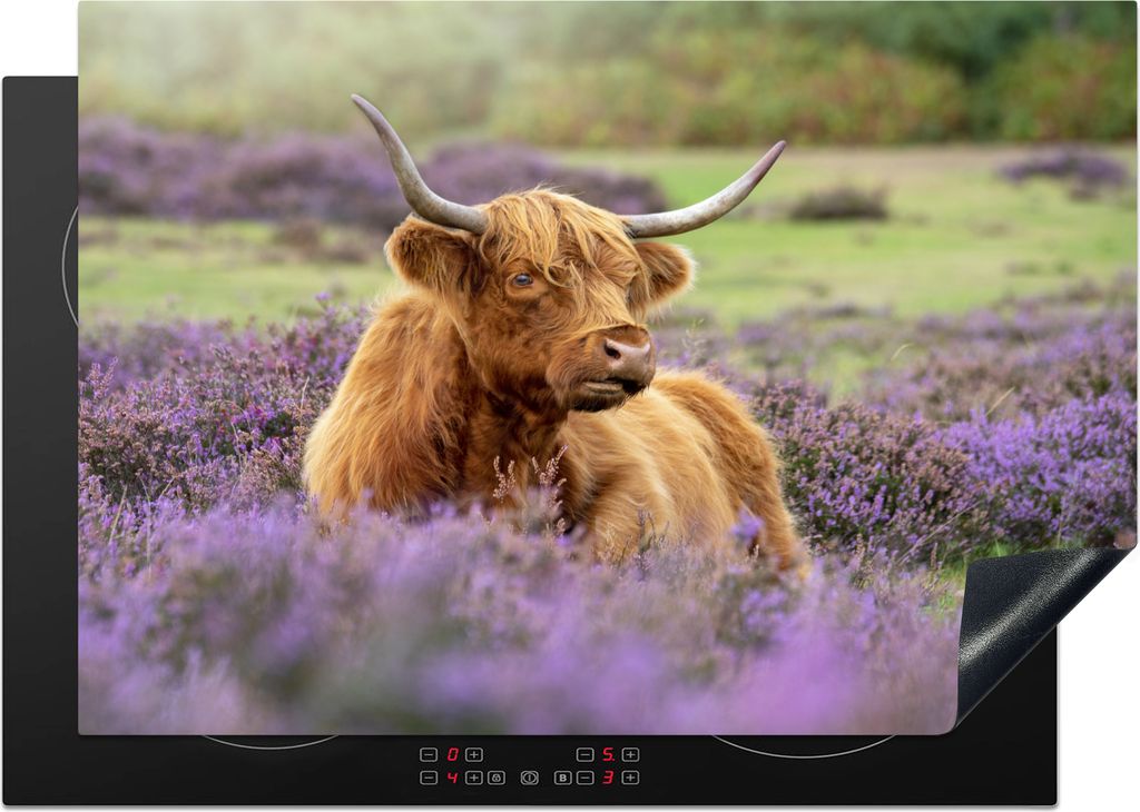 KitchenYeah Herdabdeckplatte Schottischer Highlander - Braun - Büsche , 75x52cm, Küche Deko, Glaskeramikkochfeld Herdabdeckung, Abdeckplatte f...