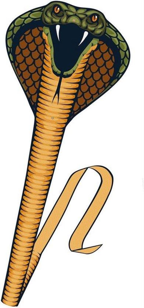 Schlangenförmiger Drachen 69x400cm mit Griff und Seil