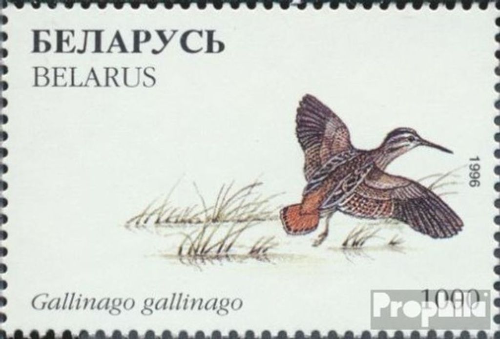 Briefmarken Weißrussland 1996 Mi 192 (kompl.Ausg.) postfrisch Vögel