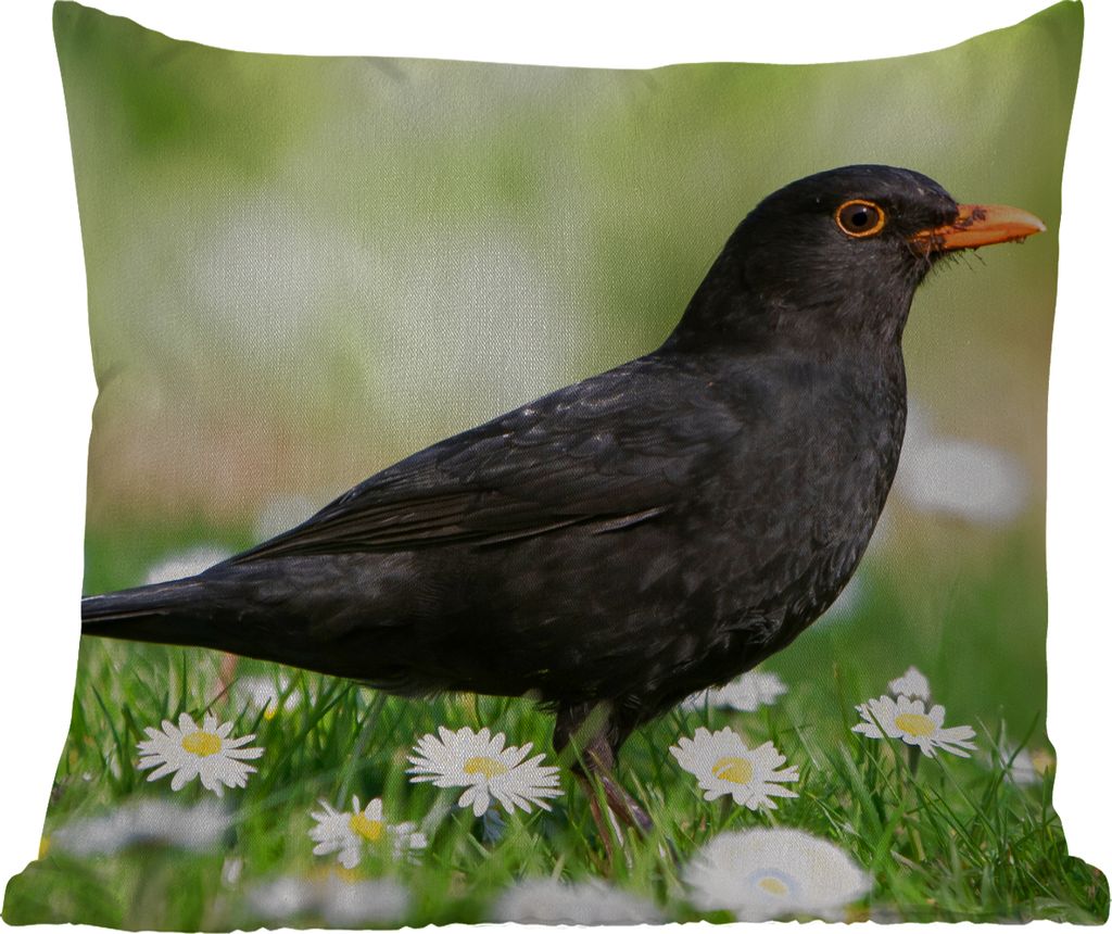 MuchoWow Outdoor Kissen - Vogel - Amsel - Blumen - 40x40 cm - Wetterfest - Lounge Kissen - Kopfkissen - Interieur - Polster mit Bild