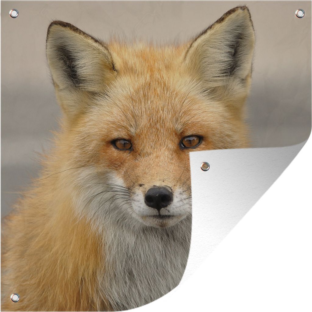 MuchoWow 100x100 cm Outdoor-Poster Gartendeko Sichtschutz Garten Poster für den Garten Fuchs - Makro - Rot