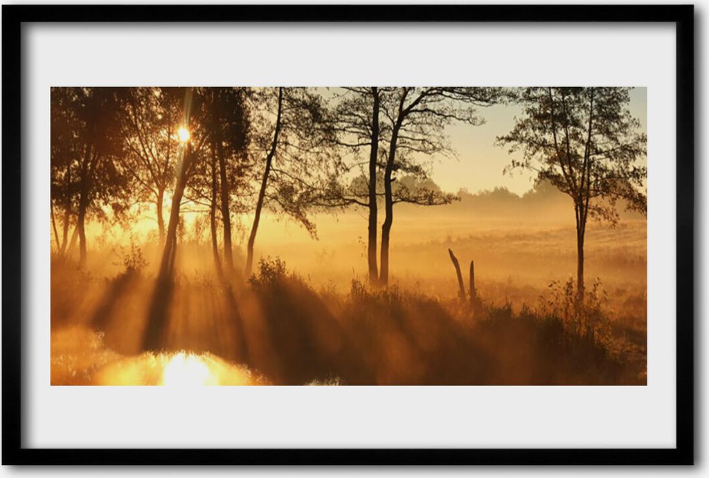 Bild 60x40 MDF-Rahmen Wandkunst Bäume Natur