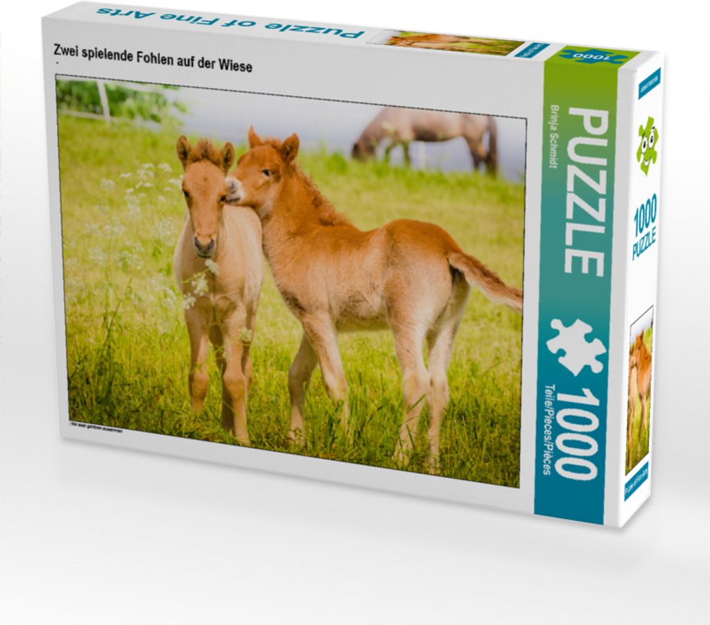 CALVENDO Puzzle Zwei spielende Fohlen auf der Wiese | 1000 Teile Lege-Größe 64x48cm Foto-Puzzle für glückliche Stunden