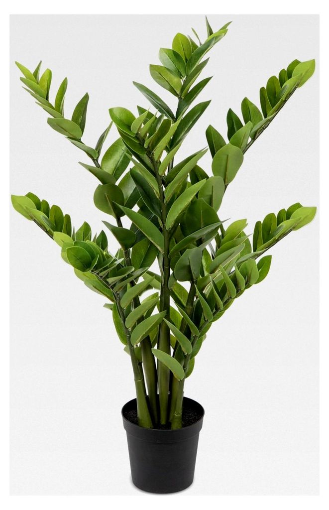 Kunstpflanze Zamioculcas 80 cm im Topf für Tischdekoration, Büro, Badezimmer, Schlafzimmer, Wohnzimmer, Einweihungsgeschenk