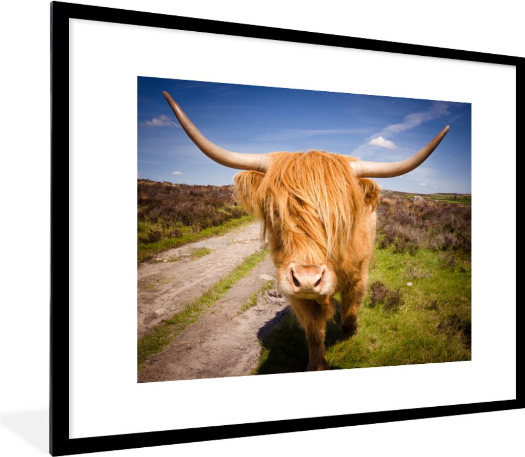 MuchoWow Gerahmtes Poster Schottischer Highlander - Licht - Wiese 80x60 cm - Poster mit Schwarzem Bilderrahmen Wandposter Rahmen Foto Bilder - Sc...