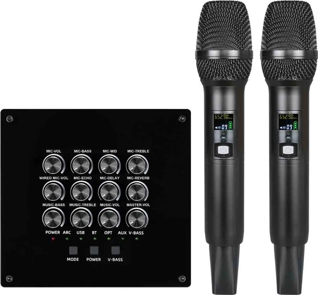 Kit micro sans fil anti-interférence avec égaliseur et mixeur audio