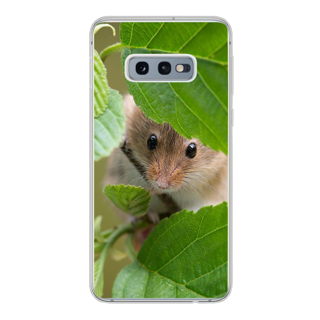 MuchoWow Handyhülle Schutzhülle Hülle für Samsung Galaxy S10e Zwergmaus - Jungtiere - Blätter Silikon Softcase Handy Hülle - Handy