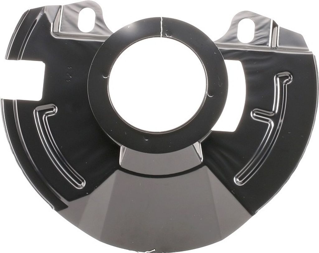 RIDEX Spritzblech Bremsscheibe für HYUNDAI GETZ (TB) Vorne Links 1330S0206 Ankerblech