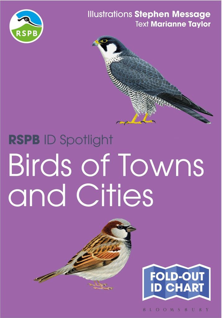 Rspb Id Spotlight – Lingua: Inglese