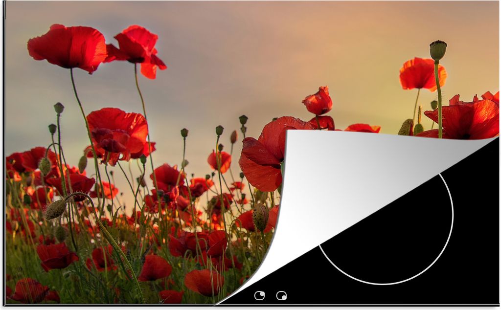 KitchenYeah Herdabdeckplatte Blumen - Rosen - Rot , 76x51cm, Küche Deko, Glaskeramikfeld Herdabdeckung, Abdeckplatte fùr Kochfeld