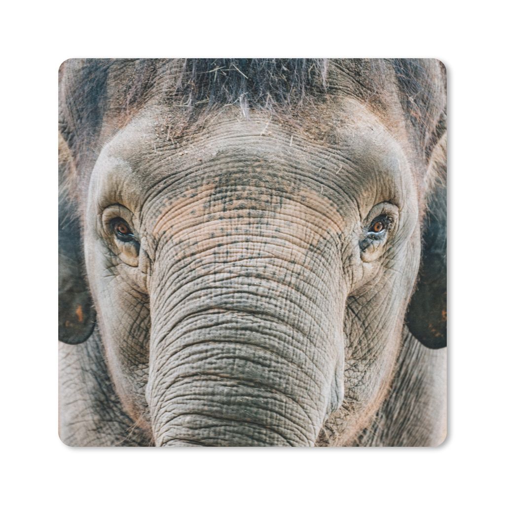 MuchoWow Mauspad Mousepad Elefant - Porträt - Tiere - Grau 30x30 cm - Mousepads - Maus Mat - Pad - Mausunterlage - Gaming