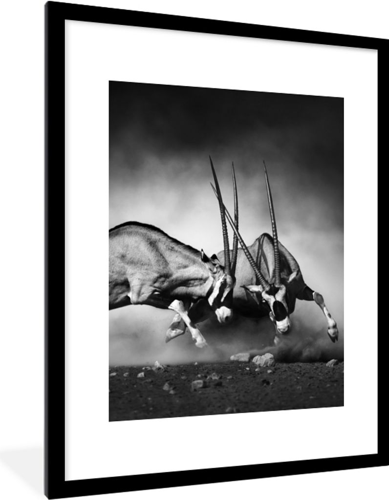 MuchoWow Gerahmtes Poster Antilope - Schwarz und weiß - Porträt - Wildtiere - Tiere 60x80 cm - Poster mit Schwarzem Bilderrahmen Wandposter Rah...