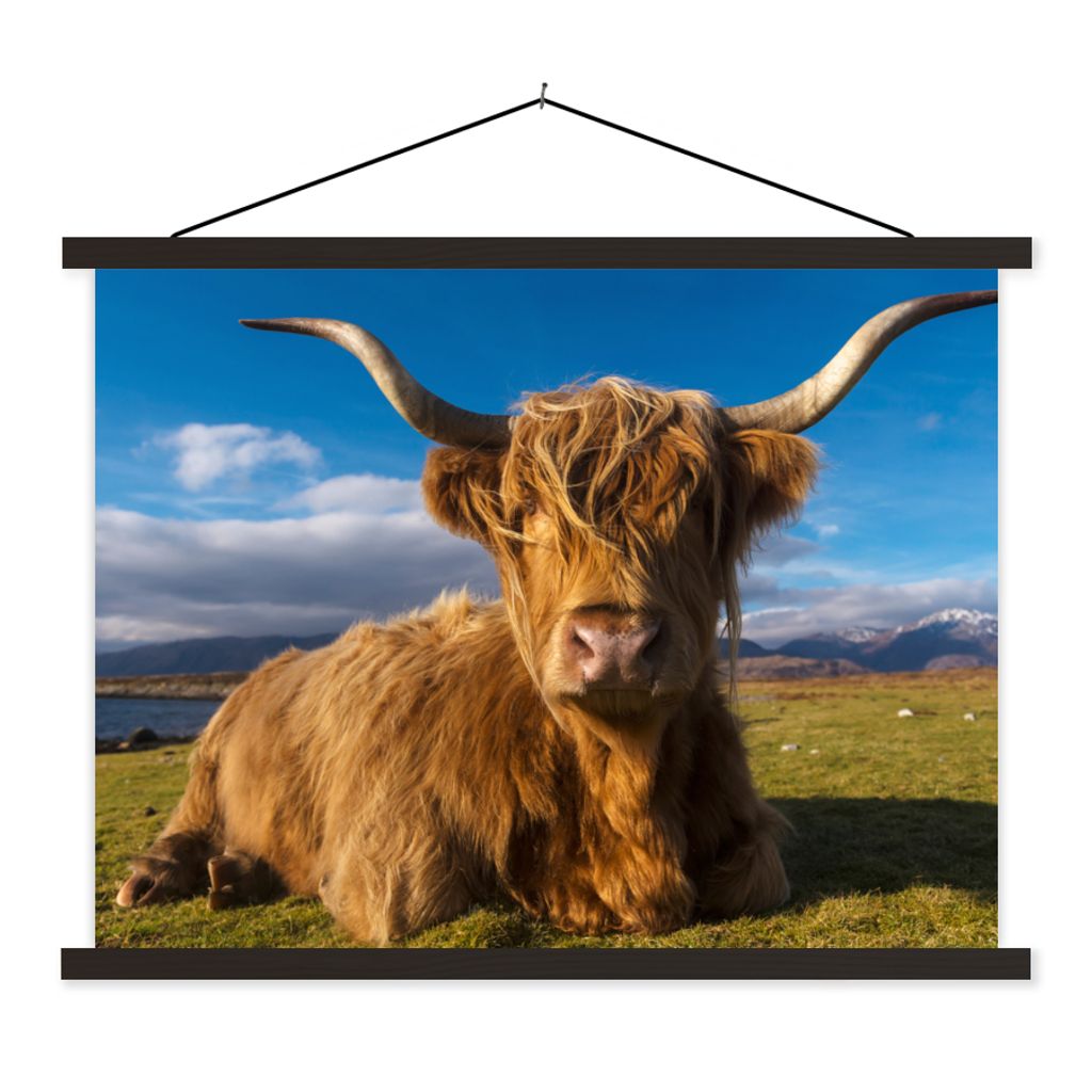 MuchoWow Textilposter Schottische Highlander - Tiere - Gras 60x45 cm mit schwarzem Rahmen - Poster Schlafzimmer