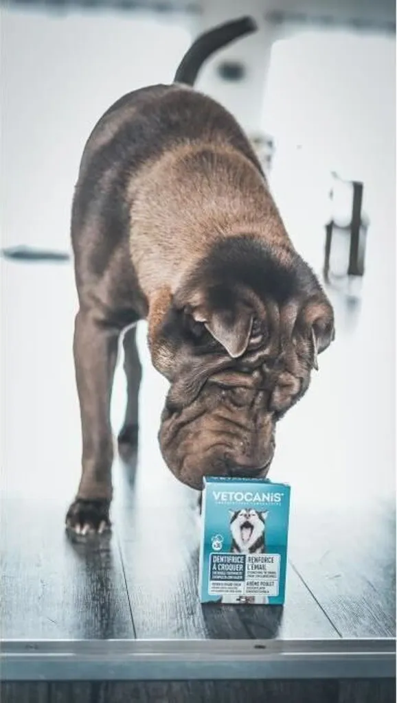 Dentifricio masticabile per cani - 3