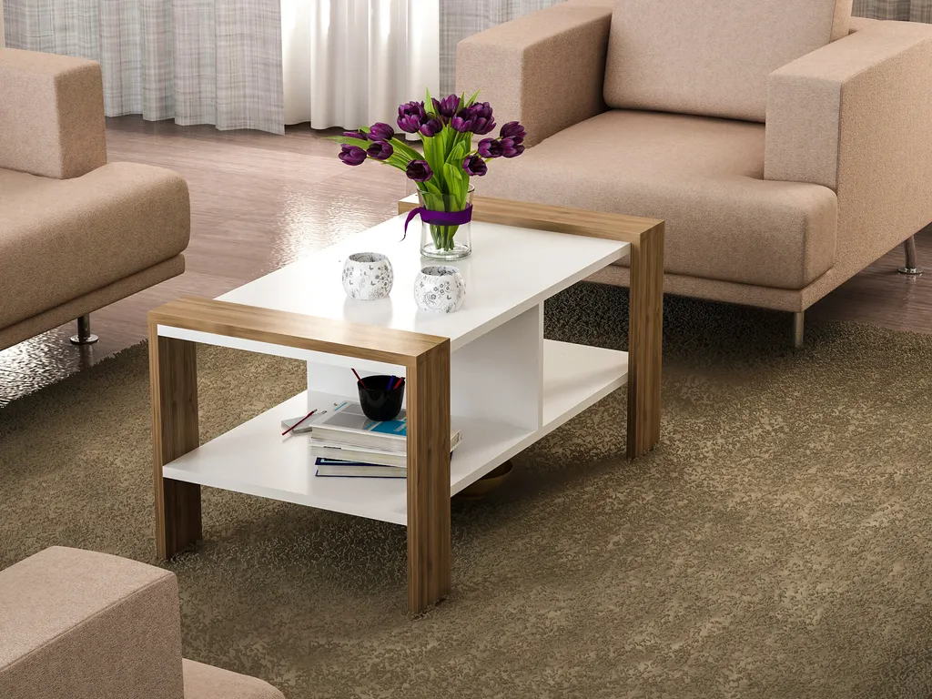 Table Basse de Salon Rectangulaire Erica Blanc et Bois Noyer Moderne