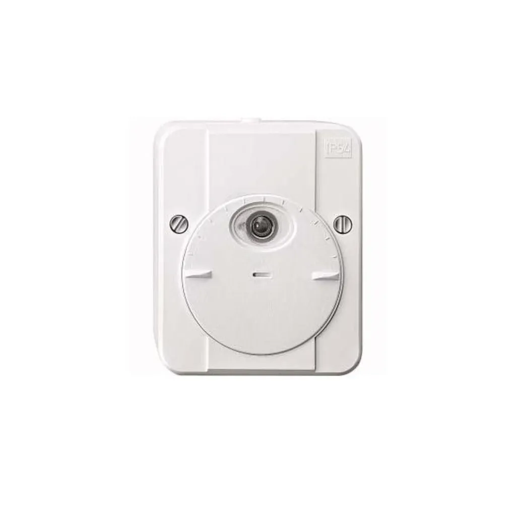 Interrupteur automatique de lumière MERTEN 2300W pour extérieur et jardin