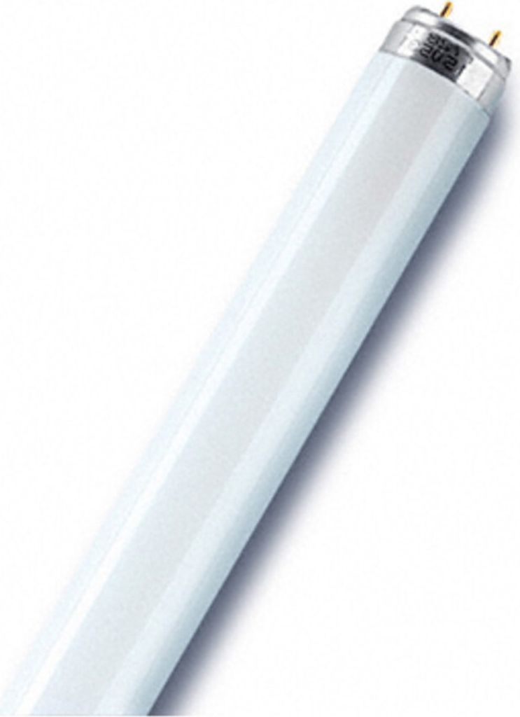 OSR L-Lampe L 36W-830 (-31) T8 26mm G13 Lumilux EEK G Produktbild 