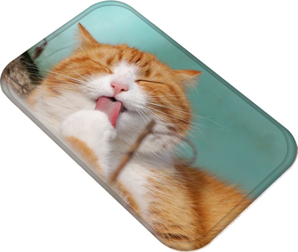 3D-Katze Anti-Rutsch-Fußmatten Teppich Teppich Badezimmer Wohnzimmer Bodenmatte Wohnmatte Dekoration-6#