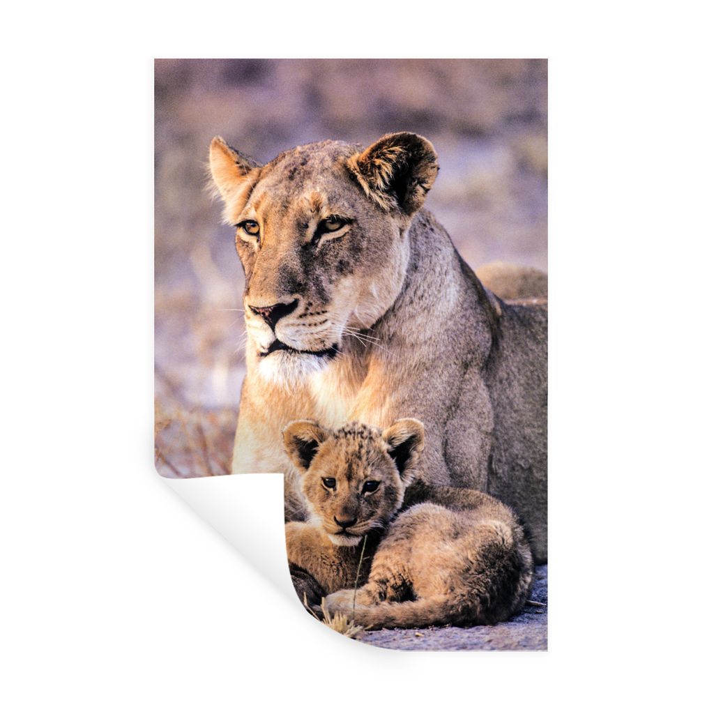 MuchoWow Wandtattoo Wandsticker Wandaufkleber Löwin - Löwe - Junges 60x90 cm Selbstklebend und Repositionierbar - Sticker - Dekorfolie