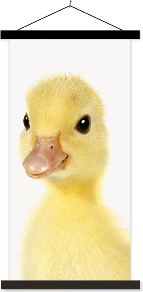 MuchoWow Textilposter Ente - Küken - Süß - Kinder - Mädchen - Jungen 60x120 cm mit schwarzem Rahmen - Magnete