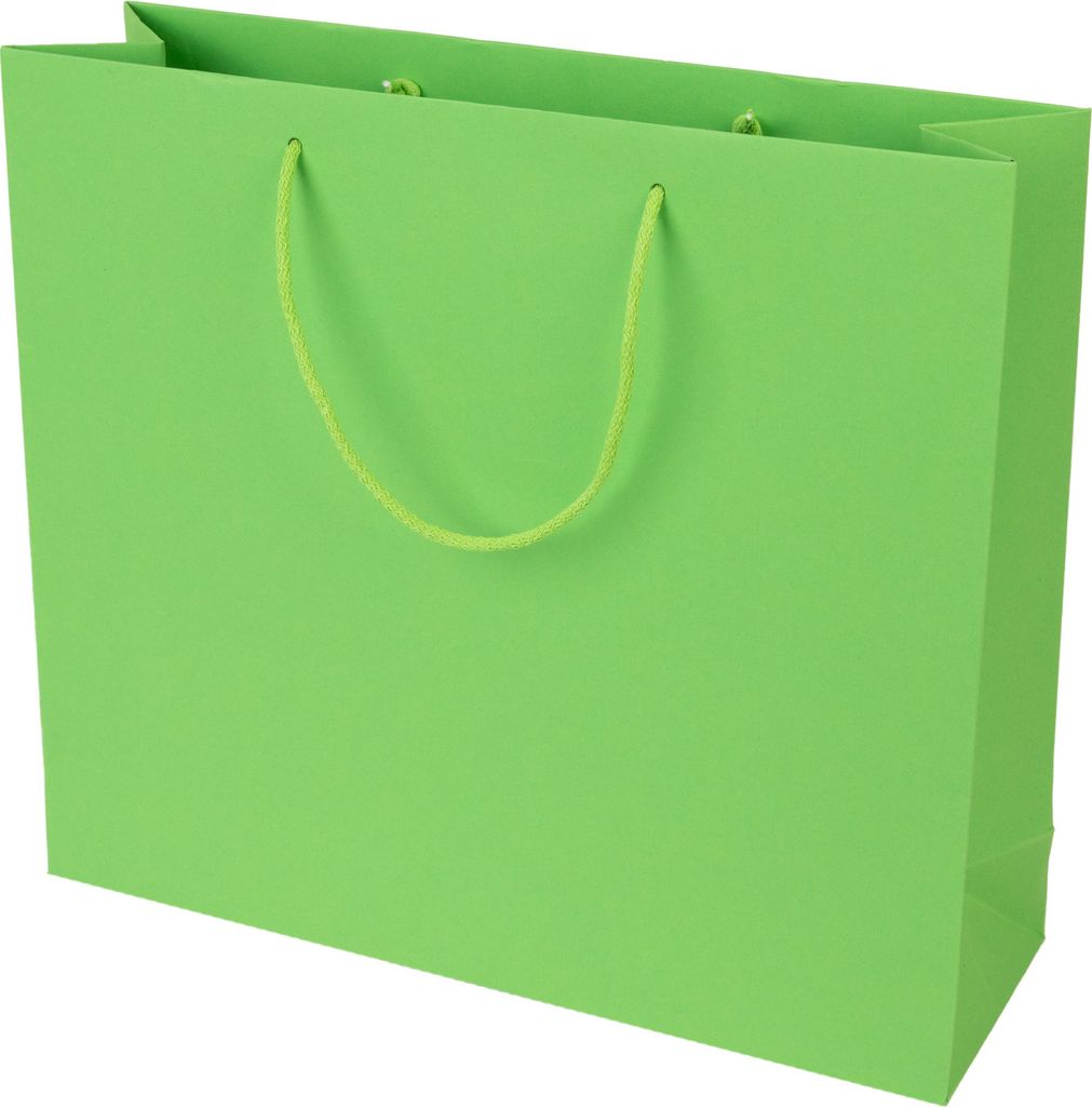 10 x Papiertragetaschen L - 42 x 13 x 37 cm - mit Baumwollkordel Apfel Grün