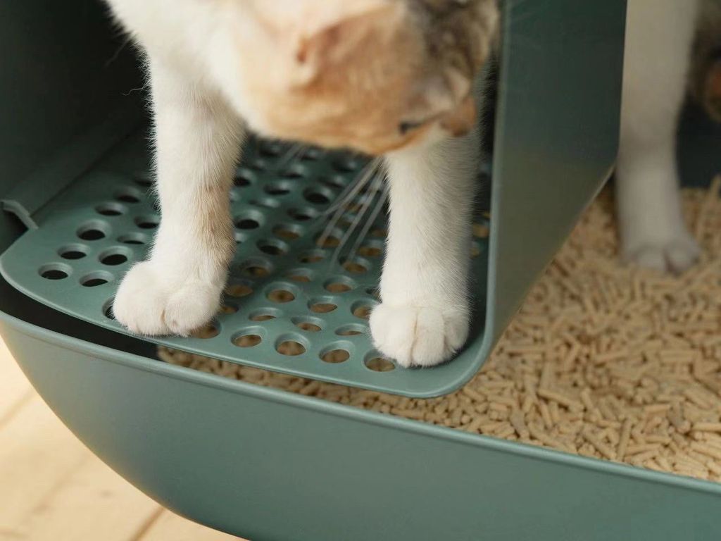 Grüne Katzentoilette – inklusive Katzenstreuschaufel – Produktbild 17