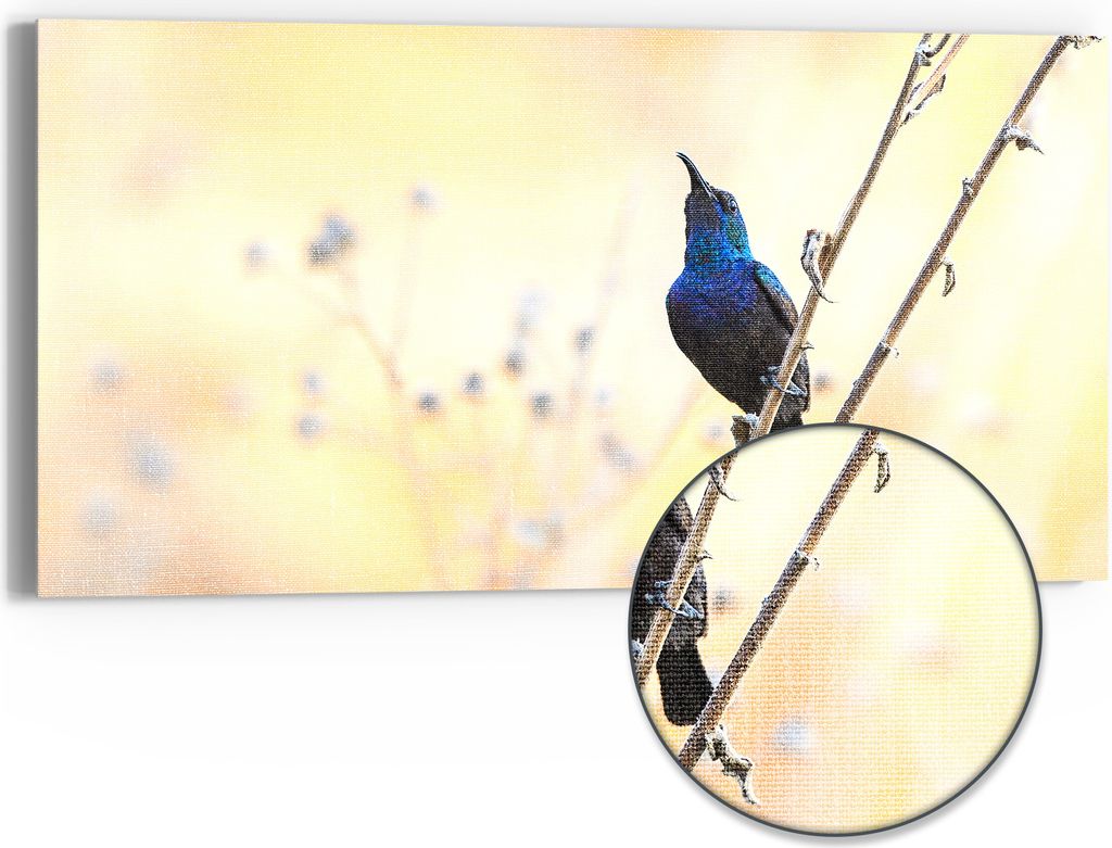 DEQORI Hybrid Leinwand Bild 60x30 cm 'Blaues Funkeln' Wandbild Glas flach modern