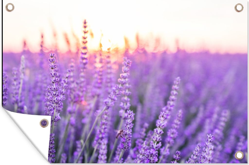 MuchoWow 90x60 cm Outdoor-Poster Gartendeko Sichtschutz Garten Poster für den Garten Lavendel - Nahaufnahme - Lila - Blumen