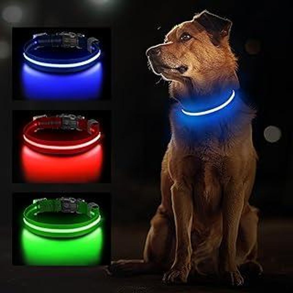 Leuchthalsband Hund, Wiederaufladbares LED Hundehalsband für Kleine, Mittelgroße & Große Hunde, Verstellbares Hundehalsband Leuchtend mit Wasser...
