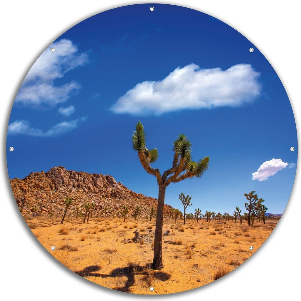 Wallario rundes Outdoor-Poster für Garten oder Balkon, Motiv Palmlilie im Nationalpark Yucca Valley Wüstenlandschaft, 60 cm Durchmesser