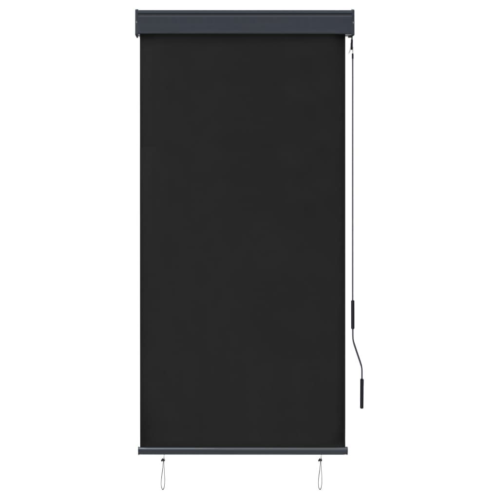 vidaXL Store extérieur 80 x 250 cm Anthracite Image du produit 