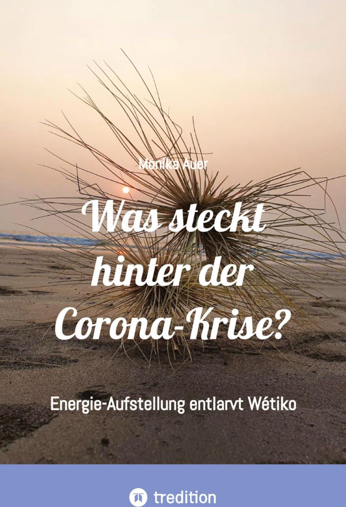 Was steckt hinter der Corona-Krise?