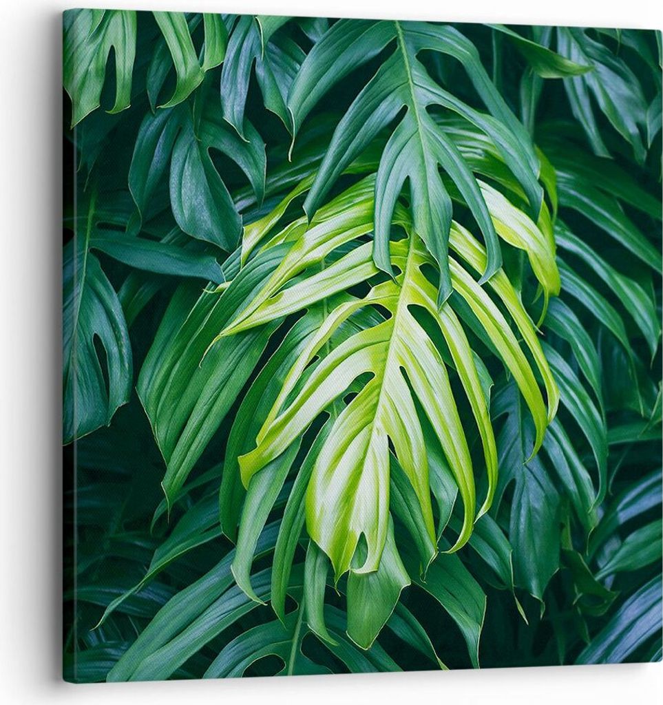 Bild auf Leinwand - Leinwandbild - Blume Natur - 30x30cm - Wand Bild - Wanddeko - Wandbilder - Leinwanddruck - Bilder - Kunstdruck - Wanddekoration...
