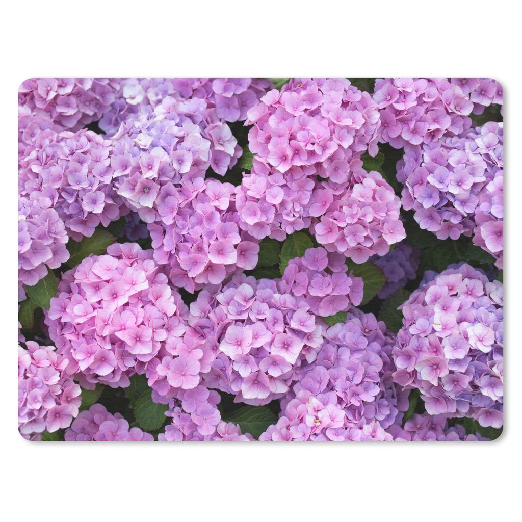 MuchoWow Mauspad Mousepad Blumen - Hortensie - Strauch - Rosa - Blütenblätter 23x19 cm - Mousepads - Maus Mat - Pad - Mausunterlage - Schreibti...