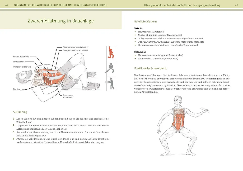 Functional Training Anatomie : Éviter les Blessures et Muscler Juste - 5