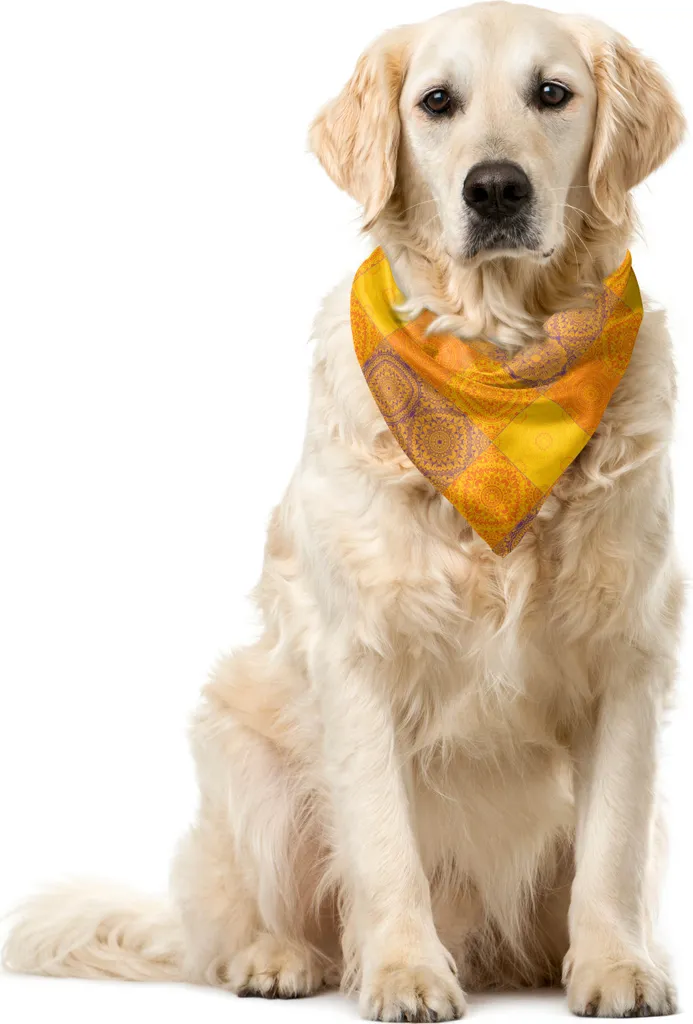 Sciarpa per Animali ABAKUHAUS | Design Etnico Arancio Viola 55cm