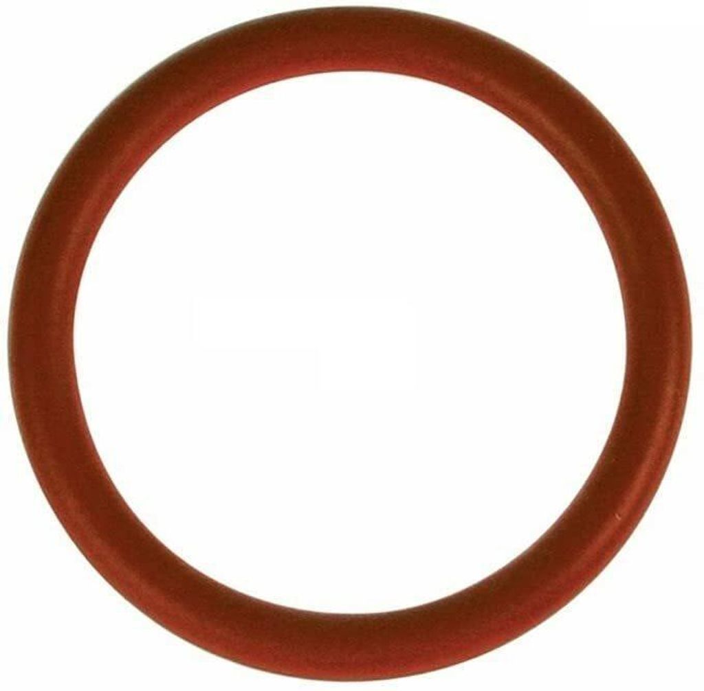 DeLonghi 5332149100 Joint pour groupe d'infusion EAM3000, Image du produit 