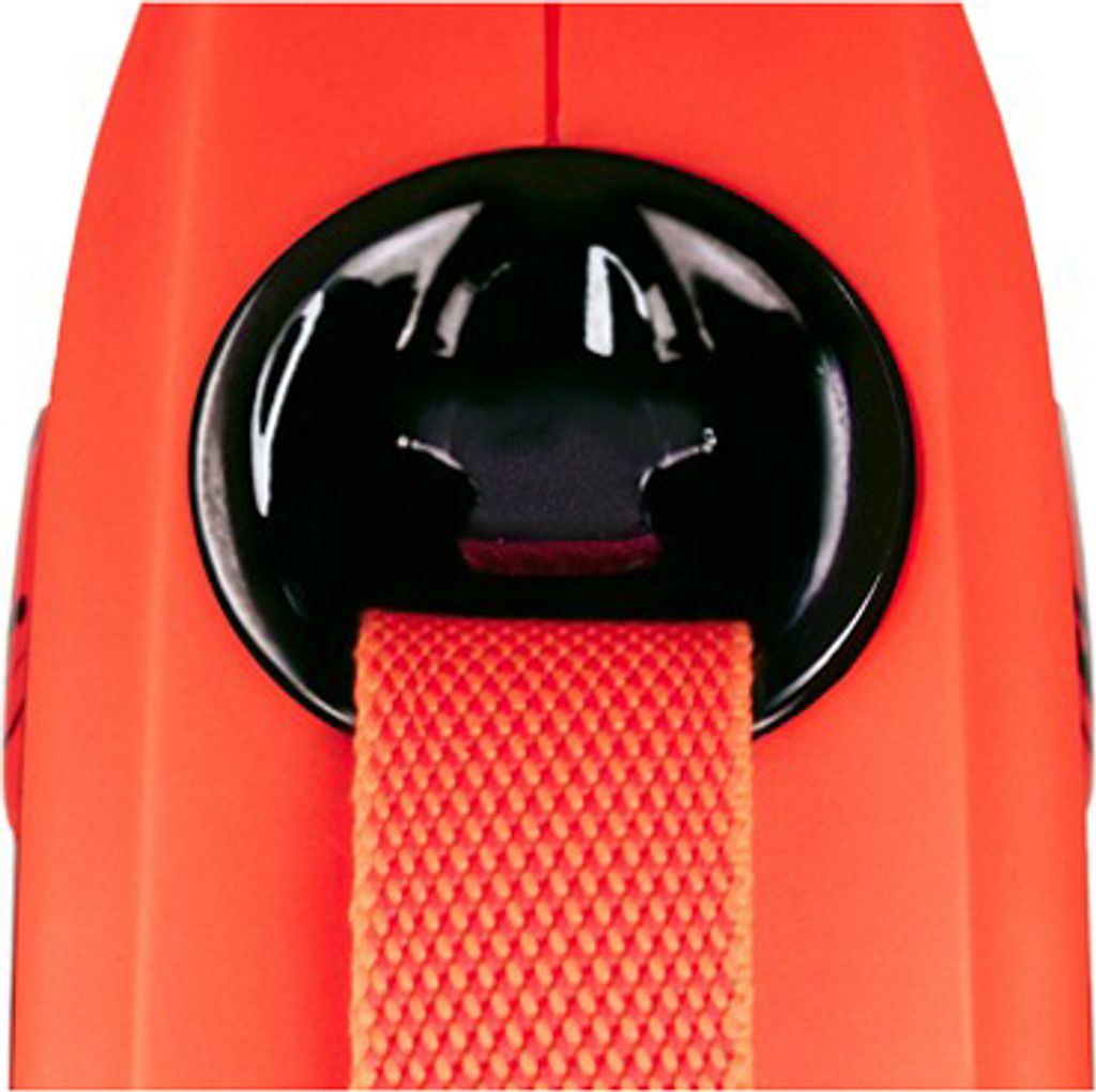 Flexi Rollleine XTREME Gurt - 8m / bis 55 kg Produktbild 4