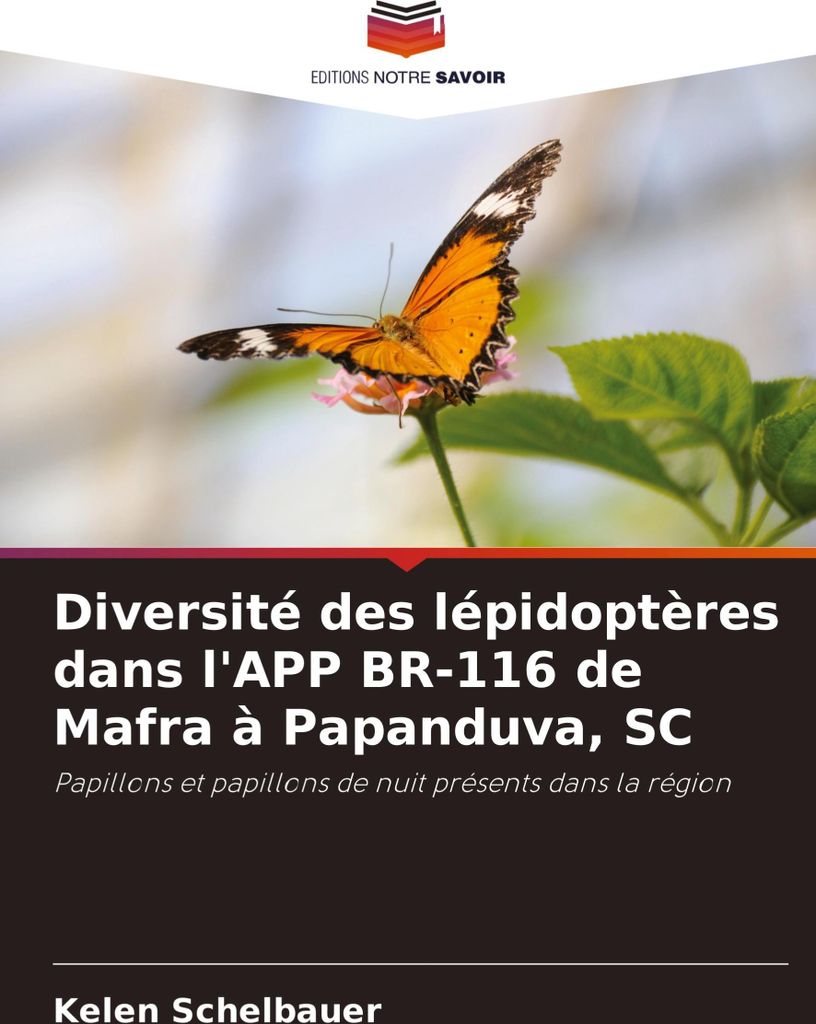 Diversité des lépidoptères dans l'APP BR-116 de Mafra à Papanduva, SC